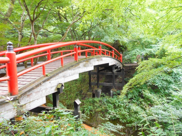 群馬県で四万温泉以外にコンパニオン宴会ができる温泉地