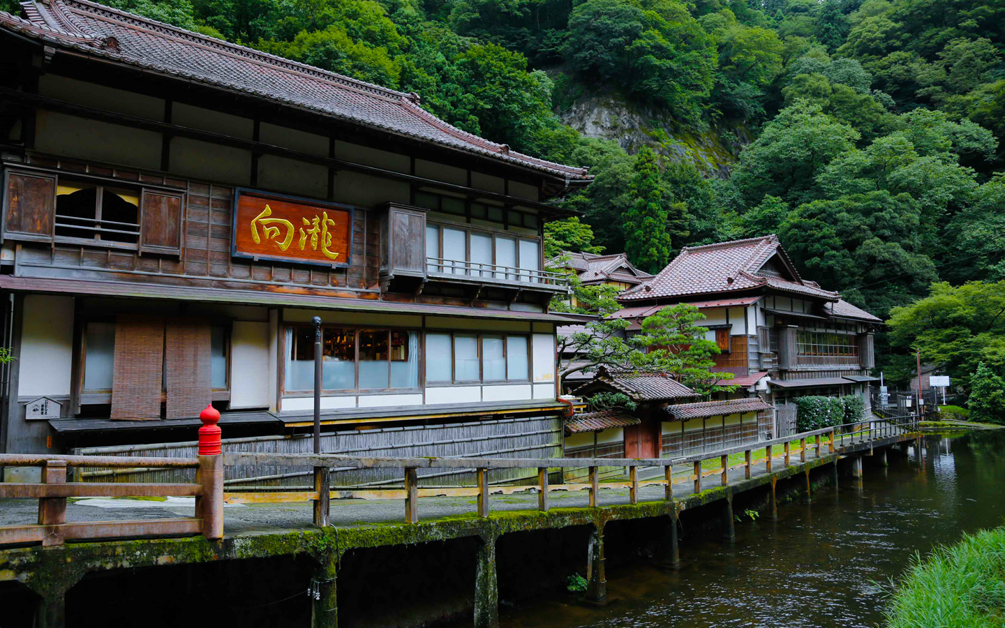 東山温泉のコンパニオン宴会プランを探す スーパーコンパニオン宴会旅行なら宴会ネット