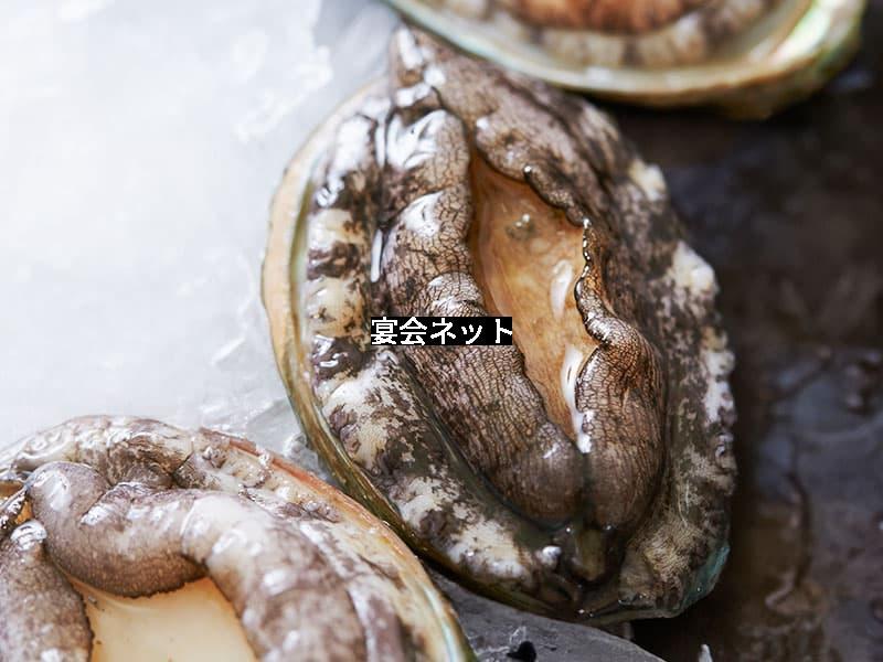 女性のとあるものに見えるアワビ