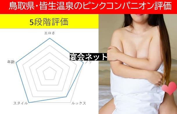 皆生温泉 評価