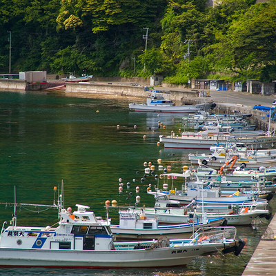 旅館からの景色 - はちべ