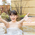 Pixta 74026879 Xl