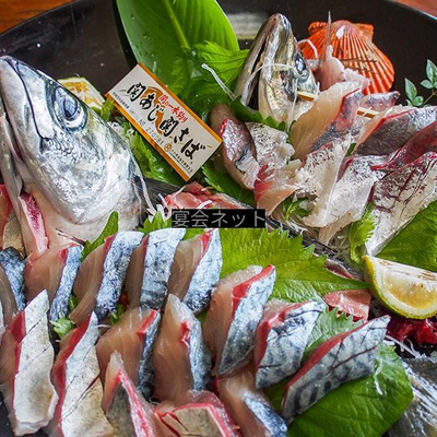 新鮮なお魚