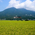 筑波山の景色