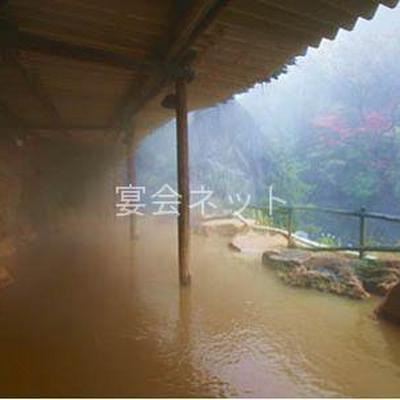 露天風呂 - 横谷温泉旅館