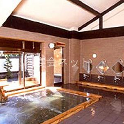 大浴場 - 新木鉱泉旅館