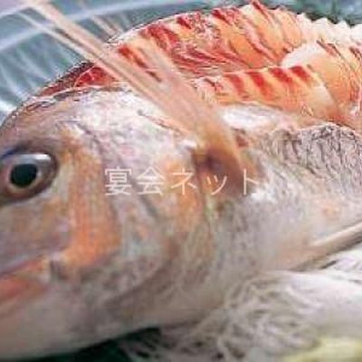 刺身 - 淡路島うずしお温泉　うめ丸