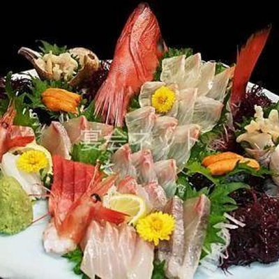 刺身 - 朝野家