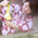 温泉たまご - 勇泉の宿 ゆあむ