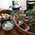 料理 - 木の香いろり寿荘