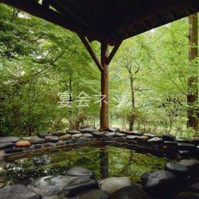 山の湯　石湯露天 - 嵐渓荘