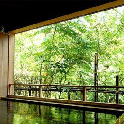 山の湯　石湯内湯 - 嵐渓荘