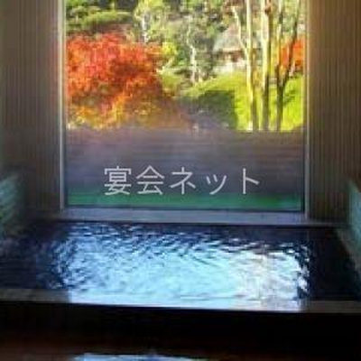 内湯 - 養老渓谷温泉郷　旅館喜代元