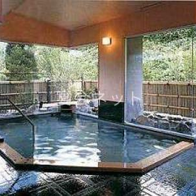 内風呂 - ホテル亀屋