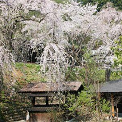桜 - 多郎兵衛旅館
