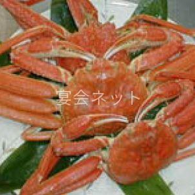 ずわいがに - 篠はら別館