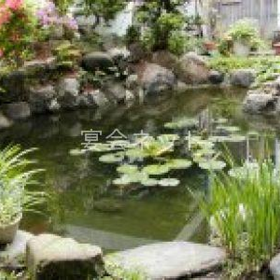 中庭の池 - 銀泉荘