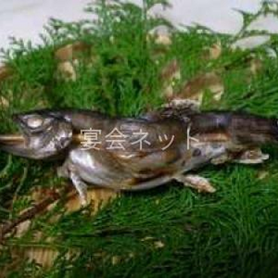 焼き魚 - 清涼荘