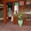 Shop 2505 3