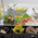 料理 - 名湯勝浦つるんつるん温泉
