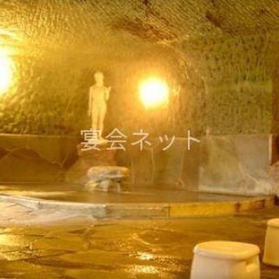 洞窟風呂 - 旅館加茂城