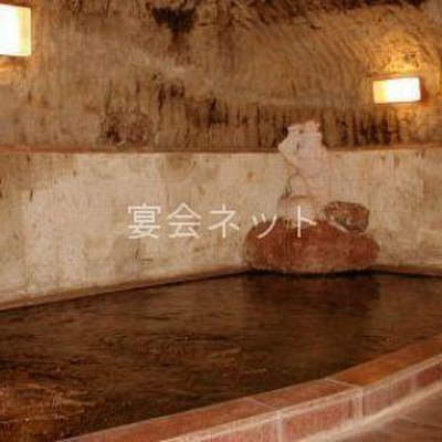 洞窟風呂 - 旅館加茂城