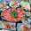 但馬牛しゃぶ - 新かめや