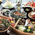 料理 - 新かめや