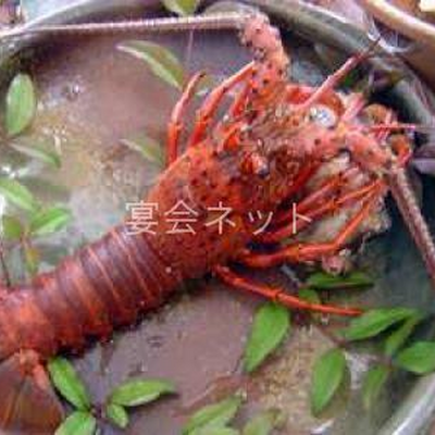 伊勢海老料理 - あみ源