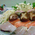 料理 - 民宿旅館　ふるさと