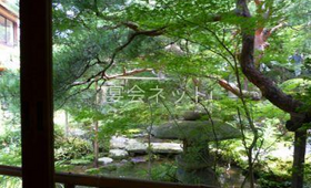 庭 - 菊水