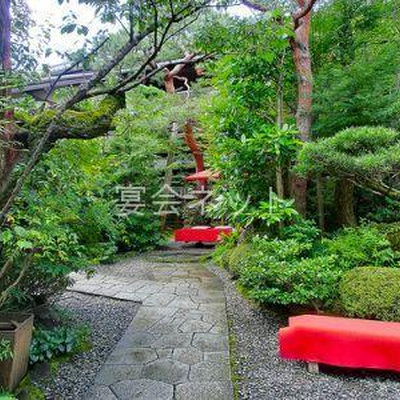中庭 - 菊水