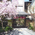 入口 - 祇園　佐の