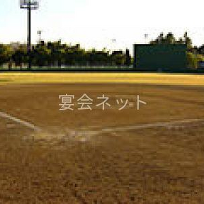 野球場 - ホテルニュー麻生