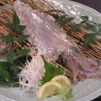 呼子イカの活き造り - 旅館 綿屋