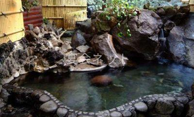 岩風呂 - 月廼屋旅館