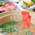 料理 - 渚館きむら