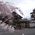 さくら 桜