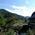 さくら 景色