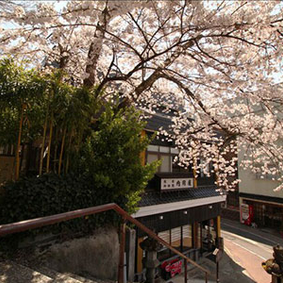 旅館内田屋 コンパニオン宴会のクチコミなら スーパーコンパニオン宴会旅行なら宴会ネット