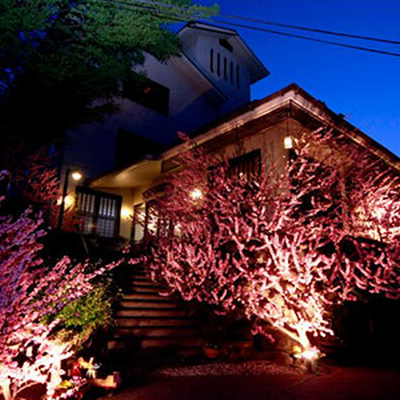 岩下温泉旅館 外観