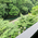 Takao3